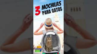 MOCHILAS PARA GATOS 😺 TOP 3 PARA TRANSPORTAR A TU GATO FELIZ shorts [upl. by Dietsche336]