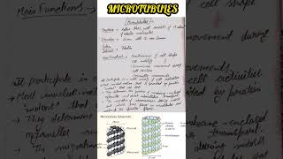 MICROTUBULES 📚🖊️ IGNOU 🔥 Notes💯✔️ msczoology msc ignouuniversity microtubules zoology mscbooks [upl. by Tal793]