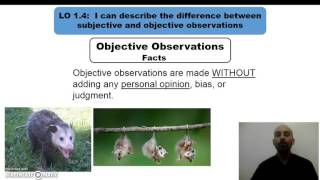 Comparing subjective observations and objective observations [upl. by Elysia]