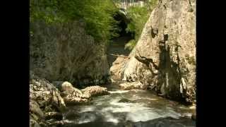 Introductory film of the Škocjan Caves Park [upl. by Ivon]