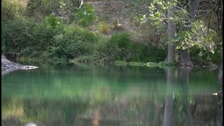 JUBRIQUE Y ALGATOCÍN HABILITAN CHARCOS Y POZAS EN EL RÍO GENAL [upl. by Dlawso]