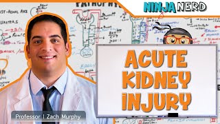 Acute Kidney Injury AKI  Etiology Pathophysiology Clinical Features Diagnosis Treatment [upl. by Iznyl]