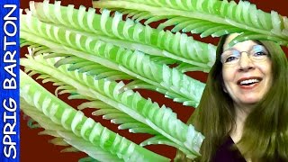 How To Make A Carrot Leaf  Vegetable Carving Art [upl. by Esilenna]