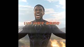 quotI Am Not Deadquot  Chadwick Boseman ｜ Black Panther Edit Kendrick Lamar SZA All The Stars Slowed [upl. by Venn]