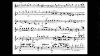 Tartini Giuseppe mvt1 violin concerto in D minor Allegro [upl. by Stormi500]