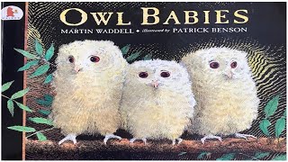 Owl Babies [upl. by Bourgeois966]