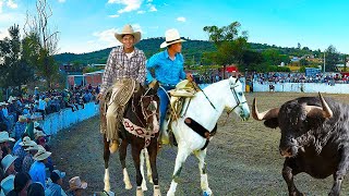 ¡TOROS BRAVOS BUSCA CABALLOS JARIPEO EN CHUCANDIRO MICHOACAN COMANCHE DE QUINCEO 09 NOIVIEMRE 2024 [upl. by Ellenaj379]