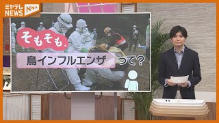 【そもそも】『鳥インフルエンザ』とは…ヒトにうつるの？卵などの価格はどうなるの？ [upl. by Aitital]