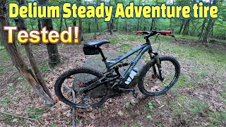 Delium Steady bike tire REVIEW Gravity FSX 10 MULLET BIKE BABY [upl. by Rockwood]