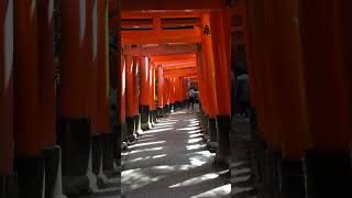 Fushimi Inari shrine Kyoto [upl. by Narag2]