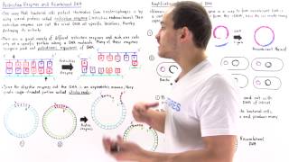 Restriction Enzymes and Recombinant DNA [upl. by Eve]