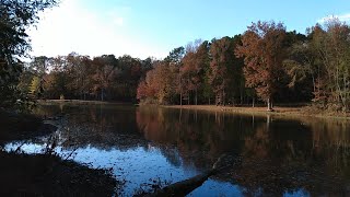 Mt Island Lake from Cove Trail [upl. by Eillah]