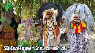 KIRAB BUDAYA SEDEKAH BUMI KELURAHAN TEGAL GUNUNG ARAK ARAKAN BARONGAN DAN GUNUNGAN [upl. by Asiela983]