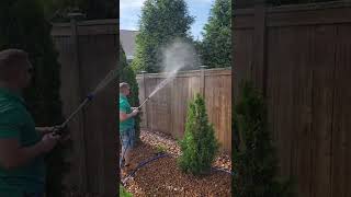 Satisfying soft wash on fence  WATCH [upl. by Anihsak]