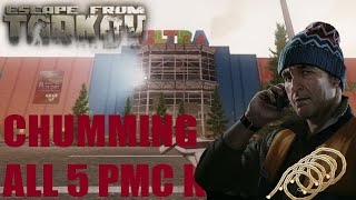 Chumming Escape from Tarkov All 5 PMC KILLS [upl. by Thun]