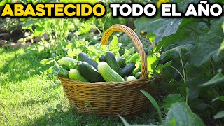 Todo lo que GANAS al cultivar Pepinos frescos en tu Huerto [upl. by Anairda557]