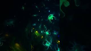 🌊 Discover the Magic of Bioluminescent Creatures ✨ [upl. by Devine]