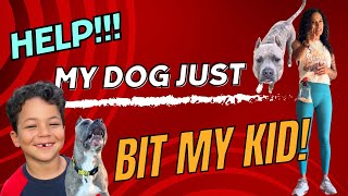 Help My Dog Just Bit My Kid [upl. by Armil923]