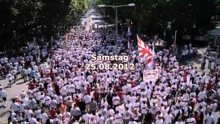 Trailer Karawane Cannstatt 2012 [upl. by Deeann]