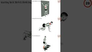 best stretching exercises after workout [upl. by Herriott]