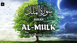 Surah Al Mulk سورة الملك  Peaceful Quran Recitation For Sleep  Quran Al Shifa Tv [upl. by Sousa]