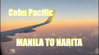 Cebu Pacific flight  Manila to Narita Japan [upl. by Ocimad]