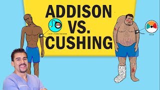 Addisons vs Cushings Disease for NCLEX RN [upl. by Ilan]