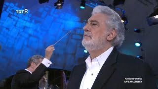 Wagner Tannhäuser quotO du mein holder AbendsternquotPlacido Domingo 2013 [upl. by Ahsiki]