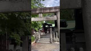 1979 Shinto shrine Hōkoku in osaka japan 🇯🇵 travel japaneseculture peaceful destination [upl. by Ceil]