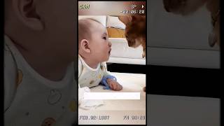 Baby vs Cat Who Will Win This Adorable Headbutting Battle shorts short [upl. by Earley]