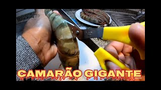 Camarão grande  tigre o mais delicioso que já comi [upl. by Valerye]