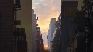 Sunrise View at residential area Kowloon tong sunriseview shortsvideo viralvideo viral [upl. by Isiad983]