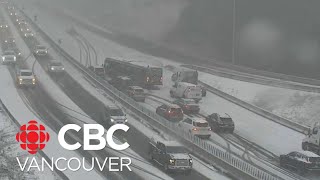 Heavy snow hits Metro Vancouver [upl. by Ydolem]