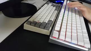 NoPoo amp Topre Typing ABKO Hacker K985P V2 Leopold FC660C [upl. by Nylemaj]