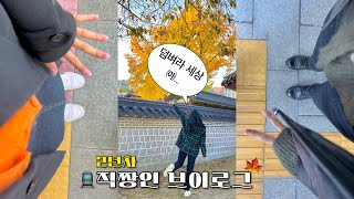 VLOG 회사 재밌게 다니는 2년차 직장인의 평일🚊 [upl. by Anafetse498]