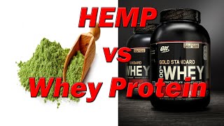 Hemp vs Whey Protein  Facts Should Know About Protein Powder [upl. by Decamp802]