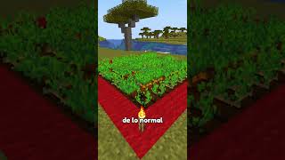 La mejor forma de hacer cultivos en Minecraft 🧐 [upl. by Godric]