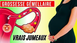 Grossesse gémellaire comment se forment les vrais jumeaux [upl. by Enitsirhk]