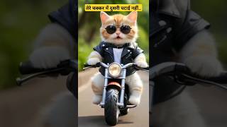 तेरे चक्कर में दुसरी पटाई नहींCat shortvideo ytshorts viralvideo viralsong [upl. by Anatnahs]