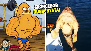 Aslinya Beneran Kekar Inilah Karakter Film SpongeBob di Dunia Nyata [upl. by Jaquelin]