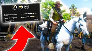 das BESTE Pferd finden in Red Dead Redemption 2 [upl. by Ticon642]