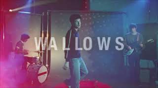 Wallows – Model Tour  Live Nation GSA [upl. by Oenire]