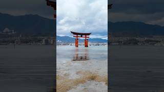 🇯🇵 JAPAN TRIP  Prima volta in Giappone 🇯🇵 73 food sushi pizza perte vlog funny humor [upl. by Einner]