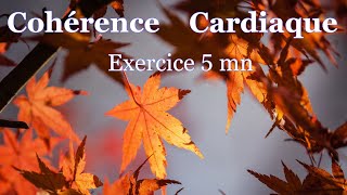 coherence cardiaque exercice 5 mn [upl. by Beitnes]