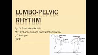 Lumbopelvic Rhythm [upl. by Roane530]