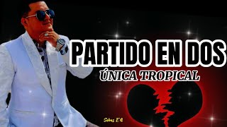 Partido En Dos  Única Tropical LetraLyric [upl. by Ilahsiav83]