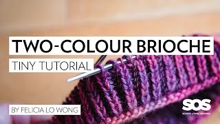 How to Knit TwoColour Brioche in the Round  School of SweetGeorgia  Tiny Tutorial [upl. by Ynaittirb72]