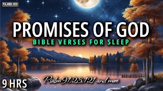 The Most Powerful Verses From the word of God  Bible reading  12 HRS [upl. by Sivartal]