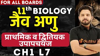 जैव अणु Biology in Hindi Class 11  Primary and Secondary Metabolism  Biomolecules Class 11  L7 [upl. by Barr]