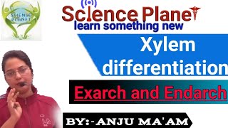 Xylem differentiations l Exarch and Endarch  By Anju Maam scienceplanetbiology [upl. by Stargell]